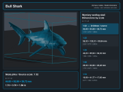 Bull Shark - 6.png
