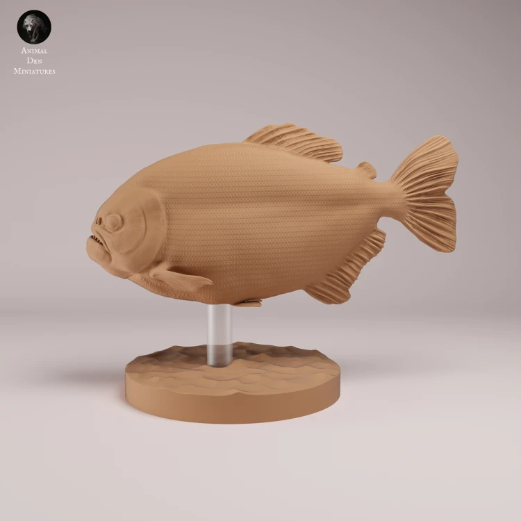 Red Bellied Piranha - 2.png