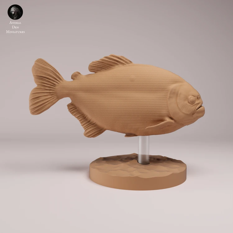 Red Bellied Piranha - 3.png