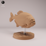 Red Bellied Piranha - 4.png