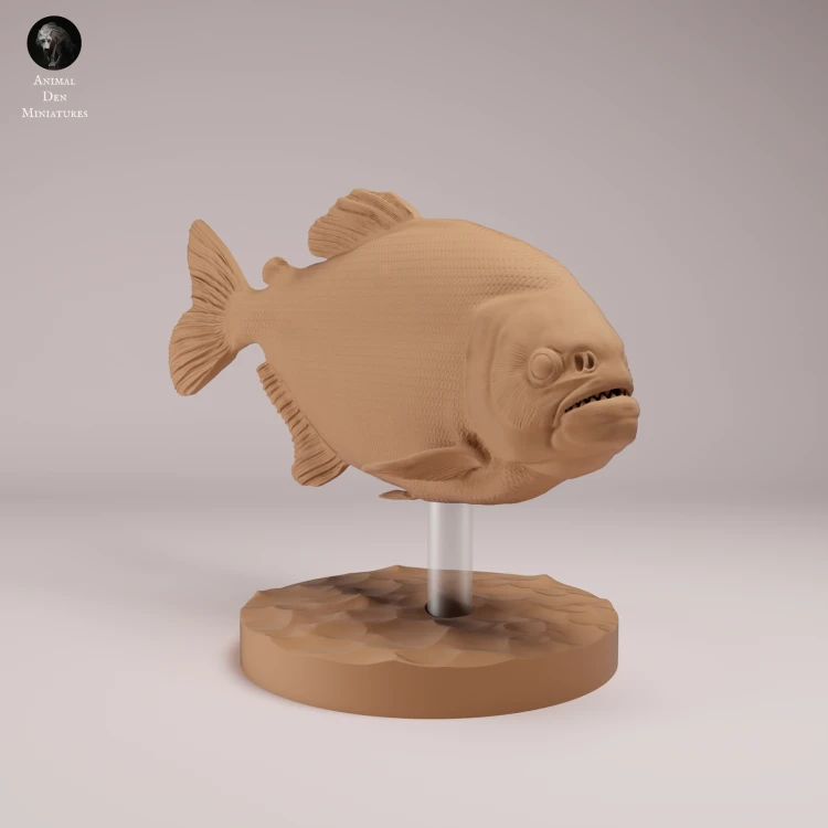 Red Bellied Piranha - 4.png