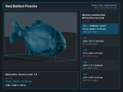 Red Bellied Piranha - 5.png