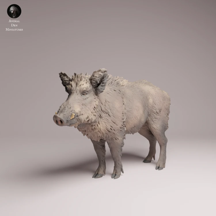 Wild Boar - 1.png