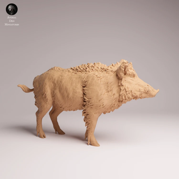 Wild Boar - 2.png