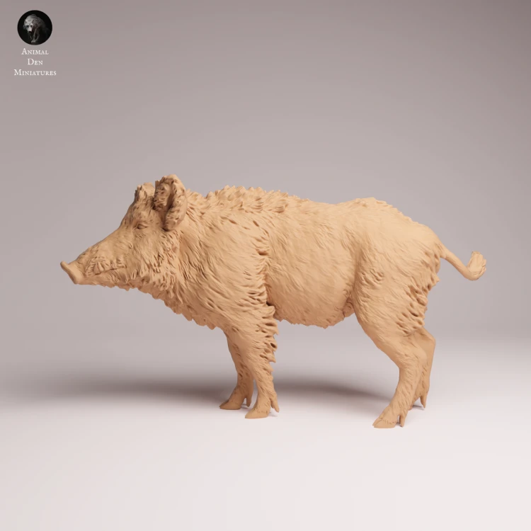 Wild Boar - 4.png