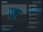 Wild Boar - 5.png