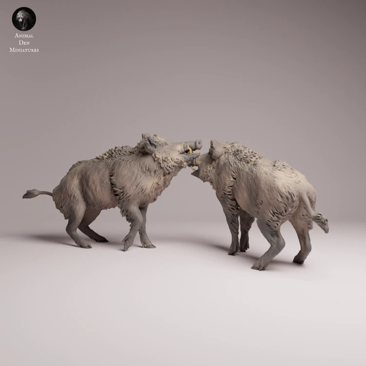 Wild Boar Fight - 1.png