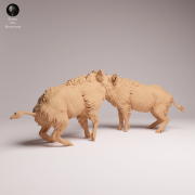 Wild Boar Fight - 2.png