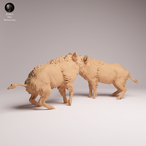 Wild Boar Fight - 2.png