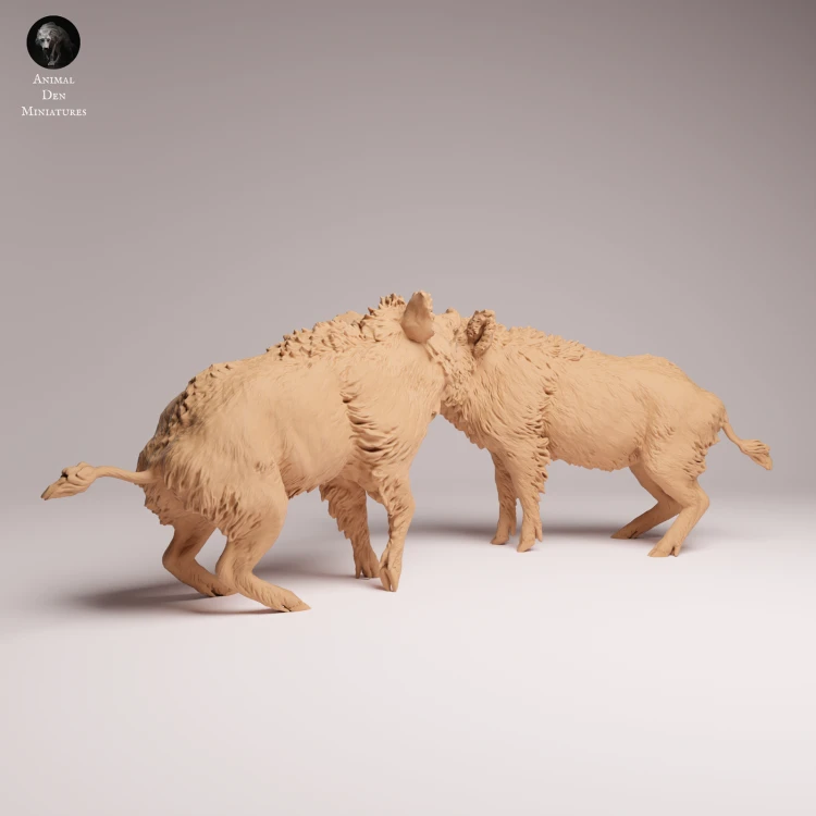 Wild Boar Fight - 2.png