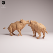 Wild Boar Fight - 3.png