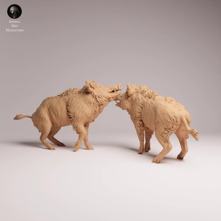 Wild Boar Fight - 3.png