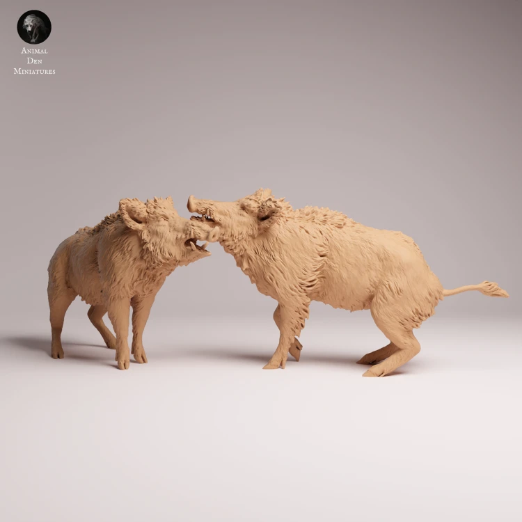 Wild Boar Fight - 4.png