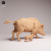 Wild Boar Sow and Piglet - 2.png
