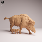 Wild Boar Sow and Piglet - 3.png