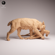 Eurasian Lynx Prey - 4.png