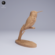 Bee Hummingbird - 1.png