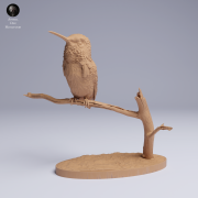 Bee Hummingbird - 3.png