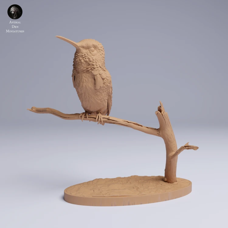 Bee Hummingbird - 3.png