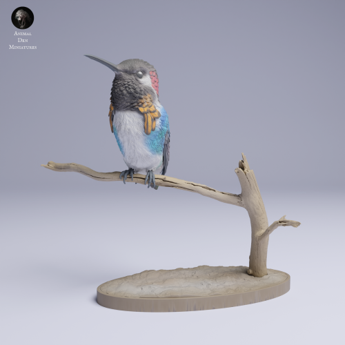Bee Hummingbird - 4.png