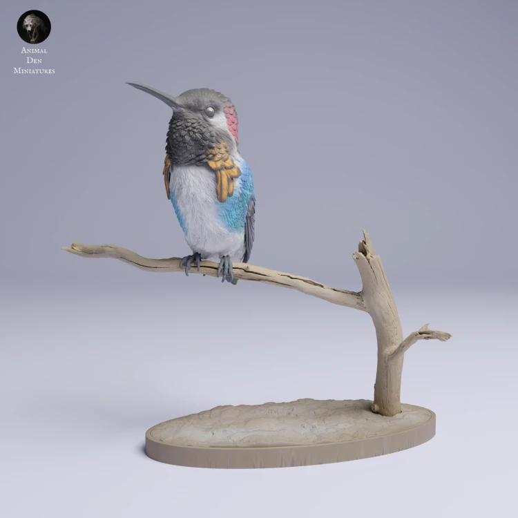 Bee Hummingbird - 4.png