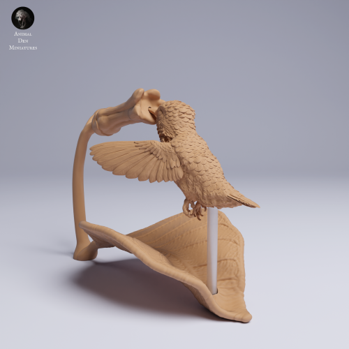 Bee Hummingbird Flying - 1.png