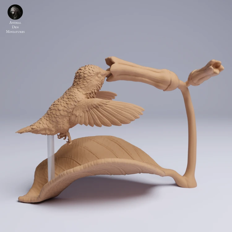 Bee Hummingbird Flying - 2.png