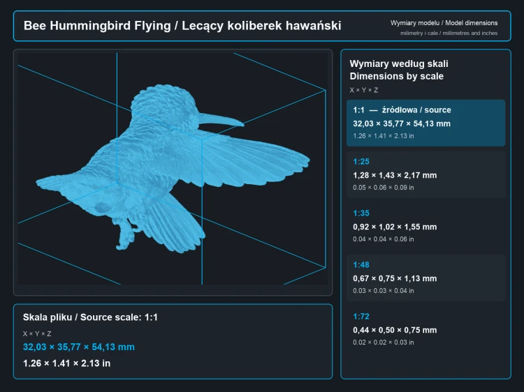 Bee Hummingbird Flying - 5.png