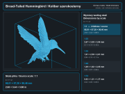 Broad-Tailed Hummingbird - 5.png