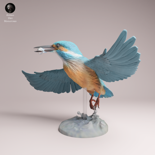 Common Kingfisher Fly - 4.png