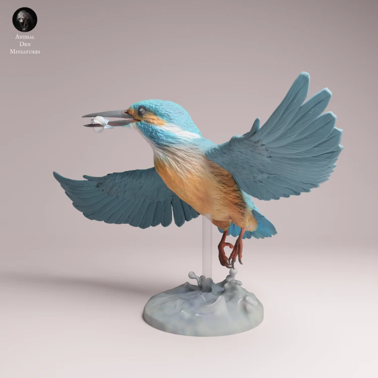Common Kingfisher Fly - 4.png