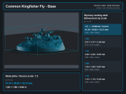 Common Kingfisher Fly - 5.png