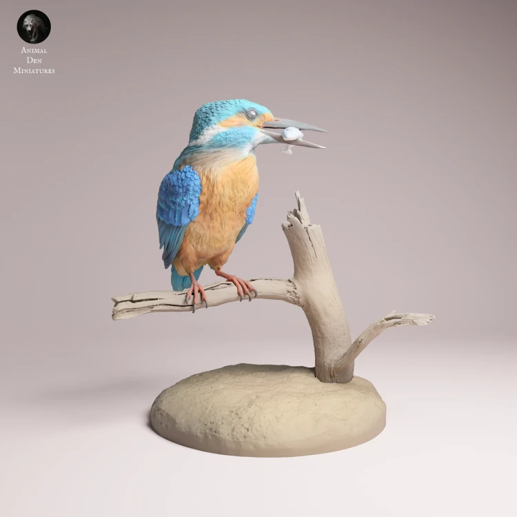 Common Kingfisher Standing - 1a.png