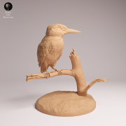Common Kingfisher Standing - 2.png