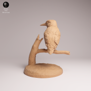 Common Kingfisher Standing - 3.png