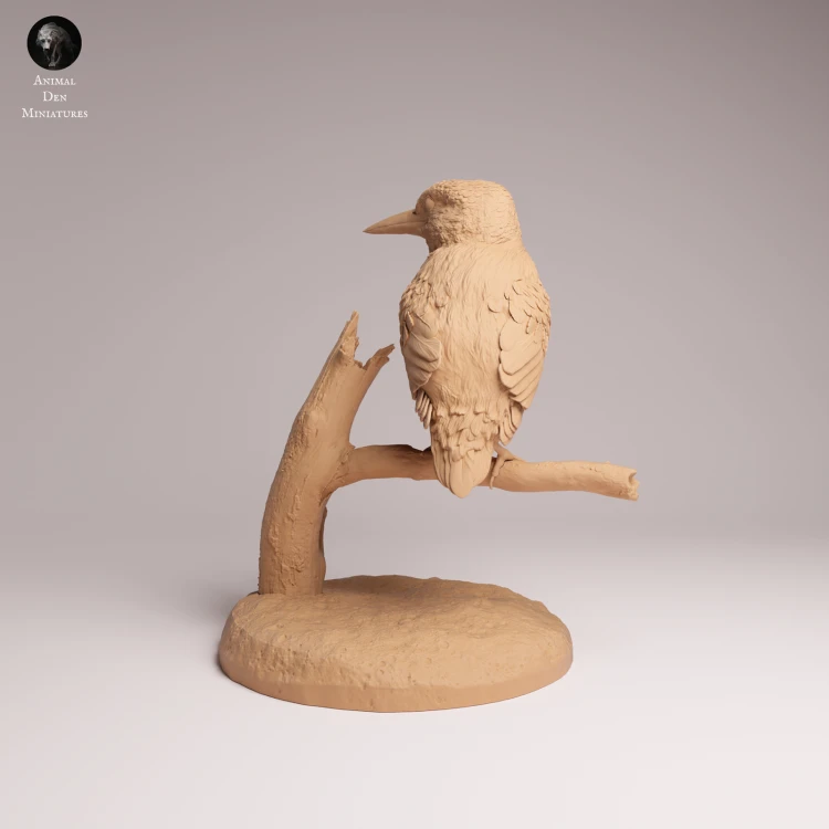 Common Kingfisher Standing - 3.png