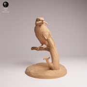 Common Kingfisher Standing - 3a.png