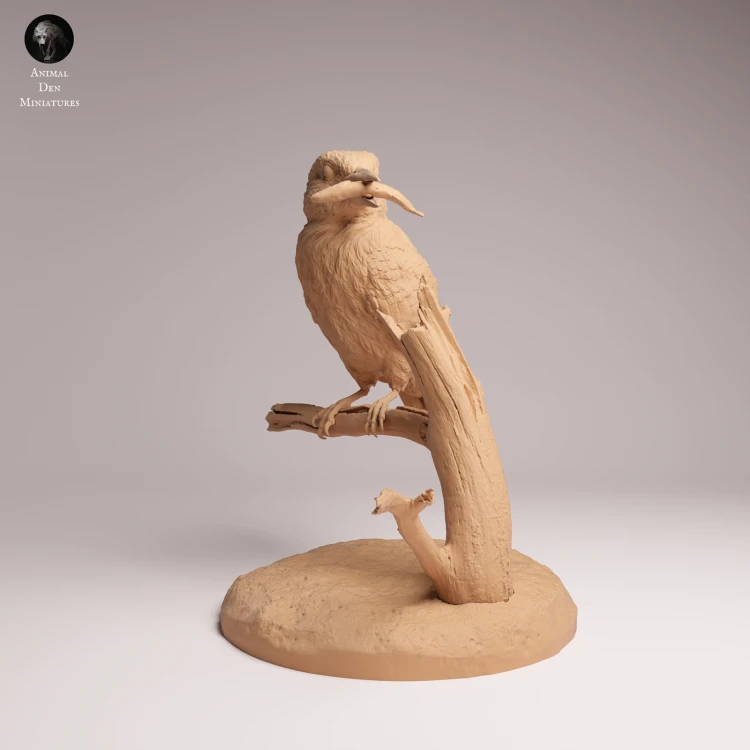 Common Kingfisher Standing - 3a.png