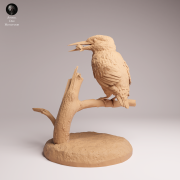 Common Kingfisher Standing - 4a.png