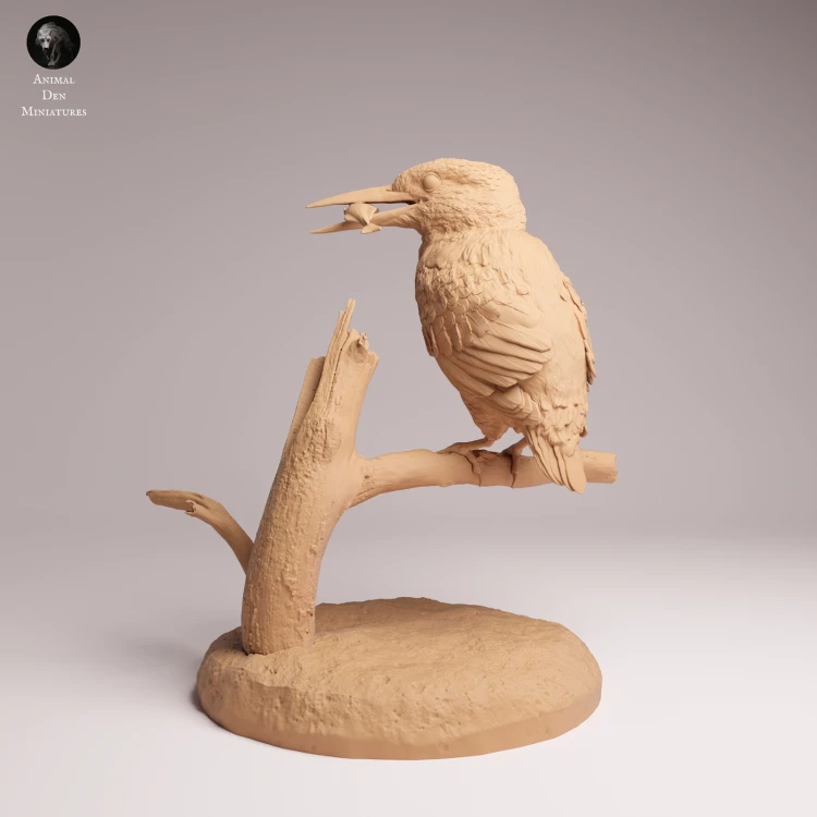 Common Kingfisher Standing - 4a.png