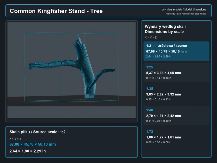 Common Kingfisher Standing - 6.png