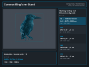 Common Kingfisher Standing - 7.png