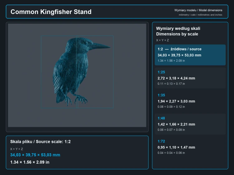 Common Kingfisher Standing - 7.png