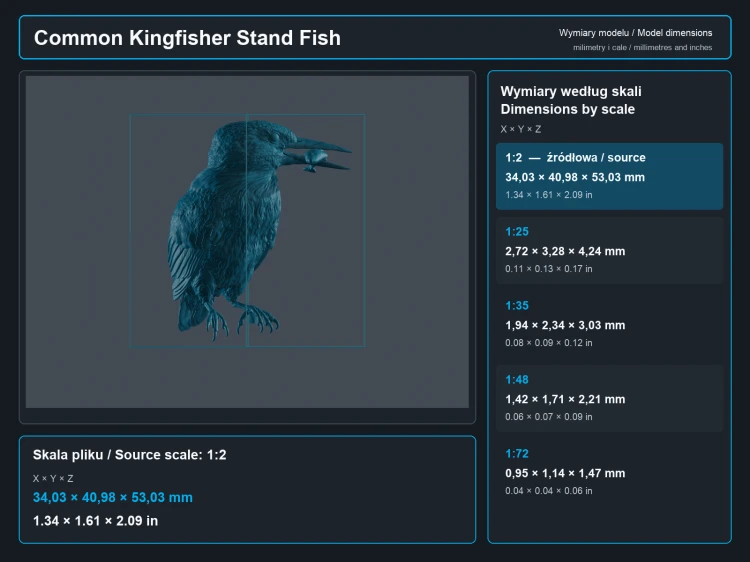 Common Kingfisher Standing - 8.png