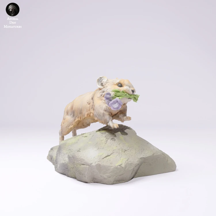 American Pika Running - 4.jpg