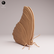 blue-morpho-butterfly-closed-wings-2.png
