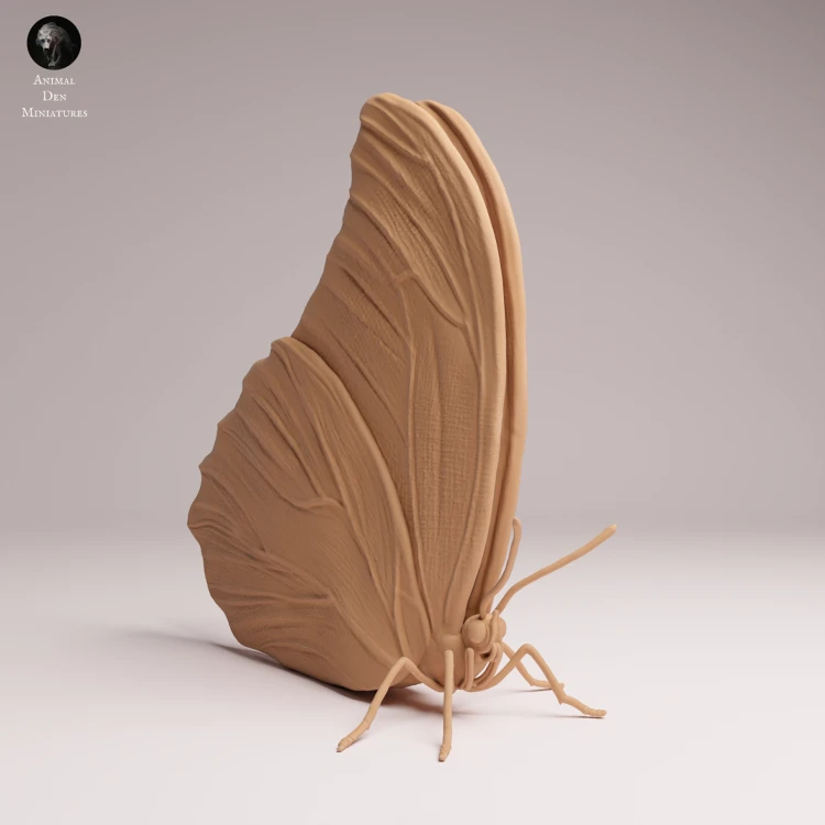 blue-morpho-butterfly-closed-wings-2.png