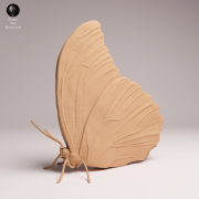 blue-morpho-butterfly-closed-wings-3.png