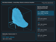blue-morpho-butterfly-closed-wings-5.png