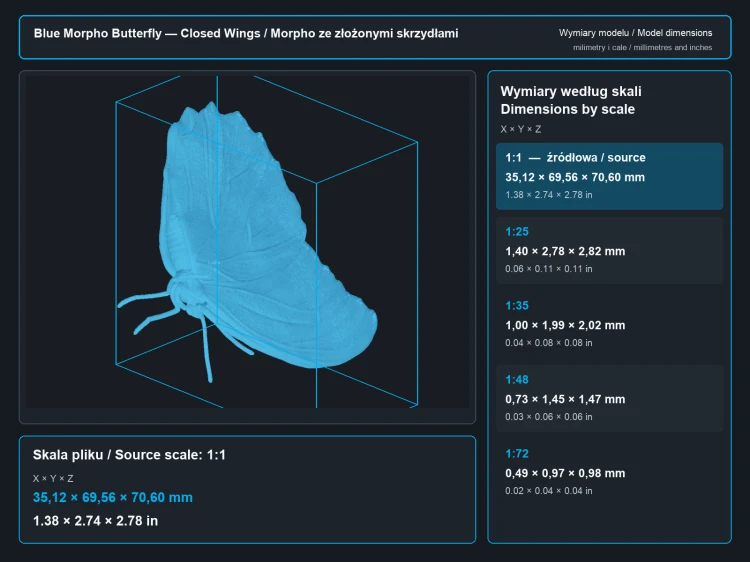 blue-morpho-butterfly-closed-wings-5.png